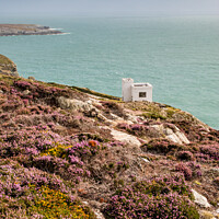 Buy canvas prints of Ellin's Tower, Angelsey by Liz Withey