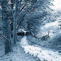 Buy canvas prints of Kissing Gate Path by Lee Silcock