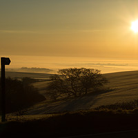 Buy canvas prints of Misty Dawn near Dorchester, Dorset by Terry Lucas