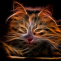 Buy canvas prints of Electric effect Glowing Cat by Craig Russell