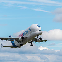 Buy canvas prints of Airbus Beluga number Three by Craig Russell