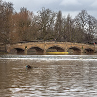 Buy canvas prints of Abbey Park Bridge by Andy Morton