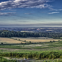 Buy canvas prints of Panoramic View From Old John In Bradgate Park, Lei by Andy Morton