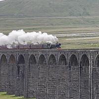 Buy canvas prints of Majestic Flying Scotsman Crossing the Iconic Ribbl by James Marsden