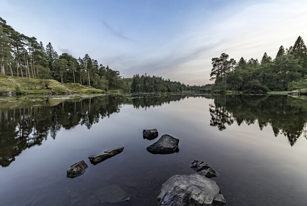 Serenity at Tarn Hows Picture Board by James Marsden