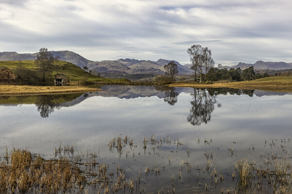 Serene Reflection at Wise Een Tarn Picture Board by James Marsden