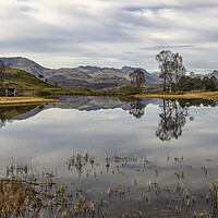 Buy canvas prints of Serene Reflection at Wise Een Tarn by James Marsden