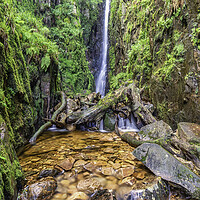 Buy canvas prints of Enchanting Forest Waterfall Symphony by James Marsden