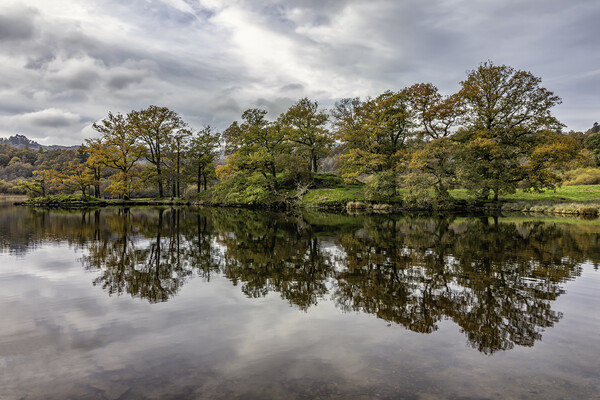 Autumn Colour at Rydal Water Picture Board by James Marsden