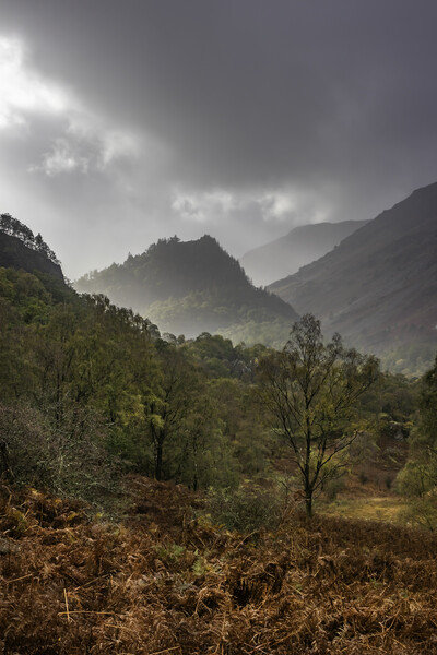 View from Borrowdale  Picture Board by James Marsden