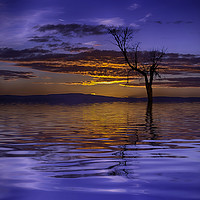 Buy canvas prints of Lone Tree on a Beautiful Sunrise by James Marsden