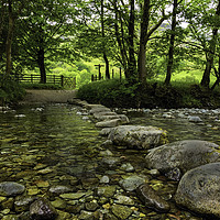 Buy canvas prints of Crossing the Rosthwaite River by James Marsden