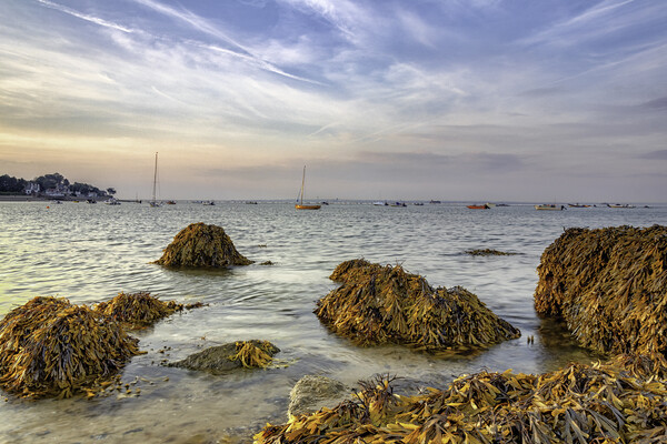 Mesmerizing Seaview Sunrise Picture Board by James Marsden