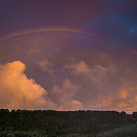 Buy canvas prints of Rainbow by Sharon Smith