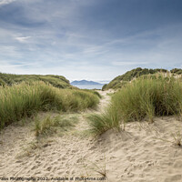 Buy canvas prints of Newborough sand dunes by North Wales Photography
