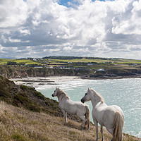 Buy canvas prints of Welsh Ponies Church Bay by North Wales Photography