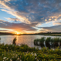 Buy canvas prints of Yorkshire Sunset by Nigel Smith