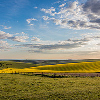 Buy canvas prints of Blue Skies over rolling Sussex countryside by Nigel Smith