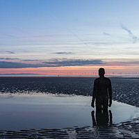 Buy canvas prints of A Lone Watcher by Nigel Smith