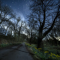 Buy canvas prints of Moonlit daffodils and stars, Ingleton by Pete Collins