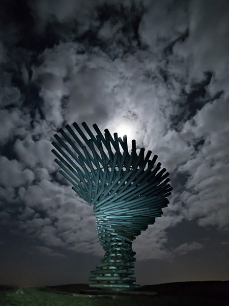 Singing Ringing Tree Moon Picture Board by Pete Collins