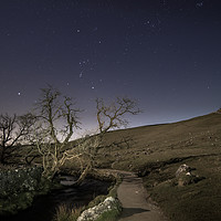 Buy canvas prints of Orion over Malham Beck by Pete Collins