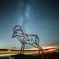 Buy canvas prints of Milky Way and the Goat by Pete Collins
