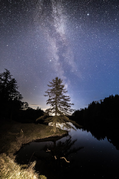 Tarn Hows and the Milky Way Picture Board by Pete Collins