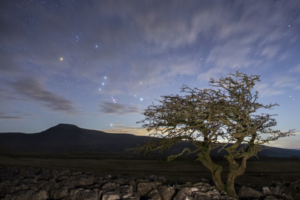 Orion rising over Ingleborough Picture Board by Pete Collins