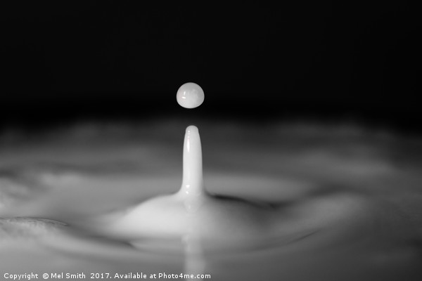 "Fluid Ripples: Captivating Monochrome Waterdrop" Picture Board by Mel RJ Smith