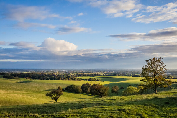 "Sweeping Vistas of Southdowns and Coastal Serenit Picture Board by Mel RJ Smith