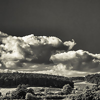 Buy canvas prints of Clear View over Bradgate Park by Iain Merchant