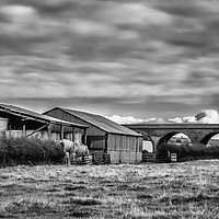 Buy canvas prints of The Viaduct and the Farm by Iain Merchant