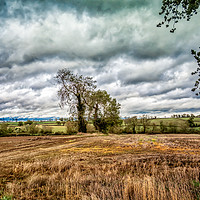 Buy canvas prints of Cloud Cover over Leicestershire  by Iain Merchant