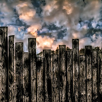 Buy canvas prints of Fenced In by Iain Merchant