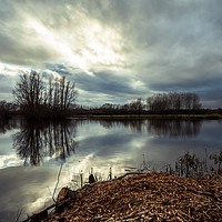 Buy canvas prints of Evening at the Lake by Iain Merchant