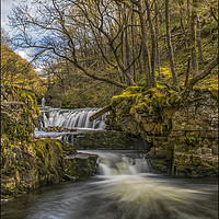 Buy canvas prints of Cascading waterfalls by Emma Woodhouse