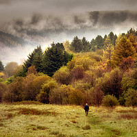 Buy canvas prints of AUTUMN WALK IN THE VALLEYS by Emma Woodhouse