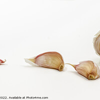 Buy canvas prints of Garlic by Edward Kilmartin