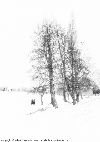 A Winters Day Picture Board by Edward Kilmartin