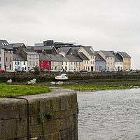 Buy canvas prints of Galway Harbour by Edward Kilmartin