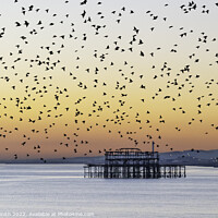 Buy canvas prints of Starling Murmuration over Brighton by Sarah Smith