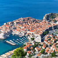Buy canvas prints of Dubrovnik Walled Old Town by Sarah Smith