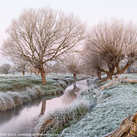 Buy canvas prints of A Frosty Morning at Beverley Brook by Sarah Smith