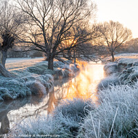 Buy canvas prints of Frosty Sunrise at Beverley Brook by Sarah Smith
