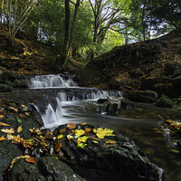 Buy canvas prints of Autumnal waterfall  by Sarah Smith
