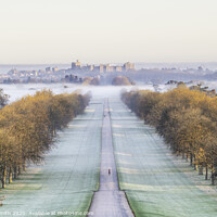 Buy canvas prints of Long Walk Windsor by Sarah Smith