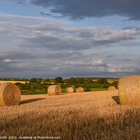 Buy canvas prints of Straw bales in field late afternoon by Sarah Smith