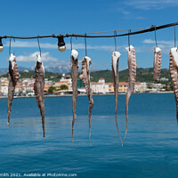 Buy canvas prints of Fresh Calamari hung out to dry by Sarah Smith