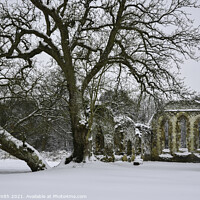 Buy canvas prints of Snow Covered Waverley Abbey Ruin  by Sarah Smith